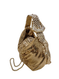 Jill Gold Mesh Metal Bag