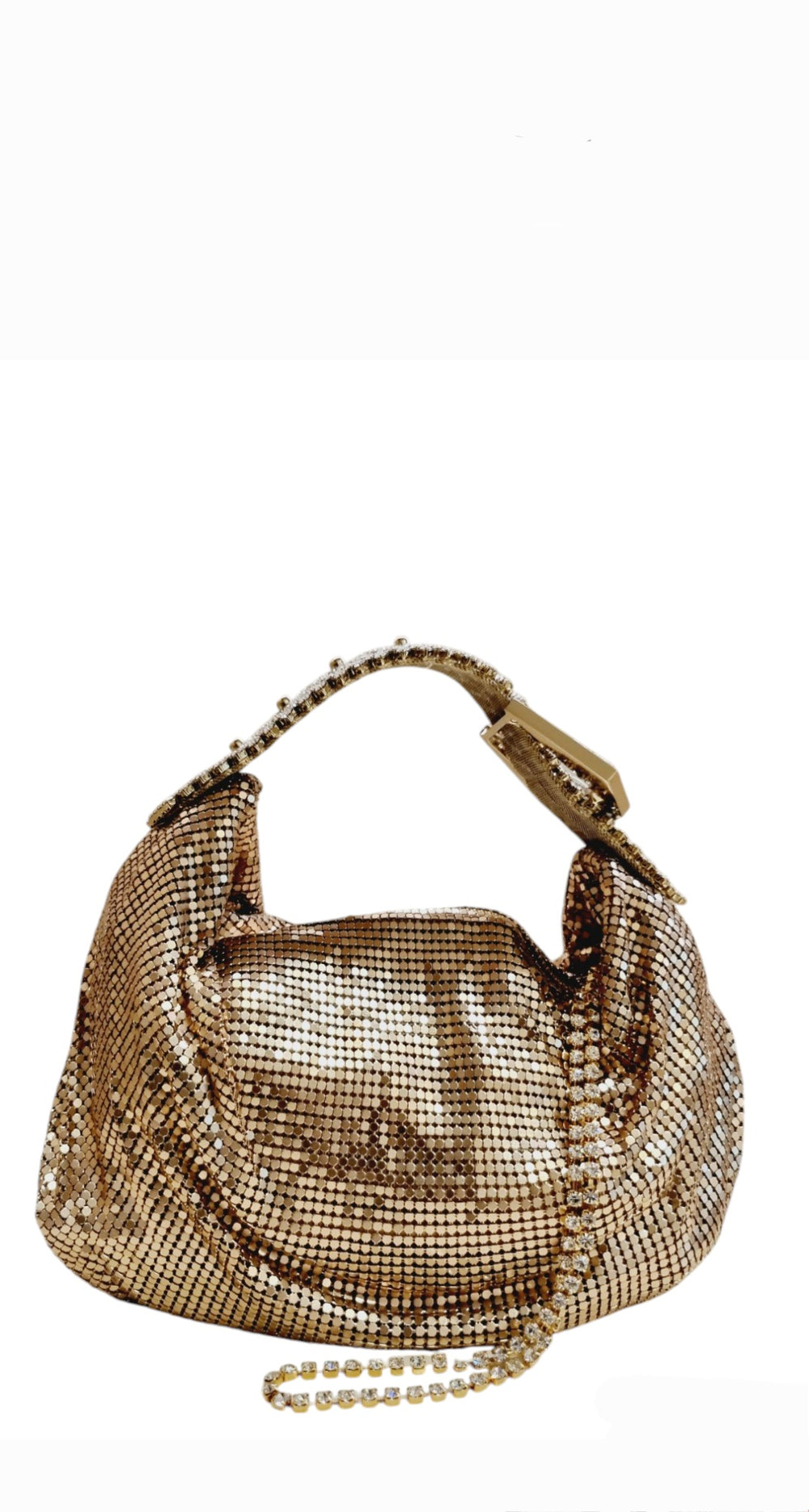 Jill Rose Gold Mesh Metal Bag(carryover style)